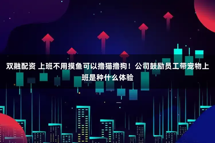 双融配资 上班不用摸鱼可以撸猫撸狗！公司鼓励员工带宠物上班是种什么体验