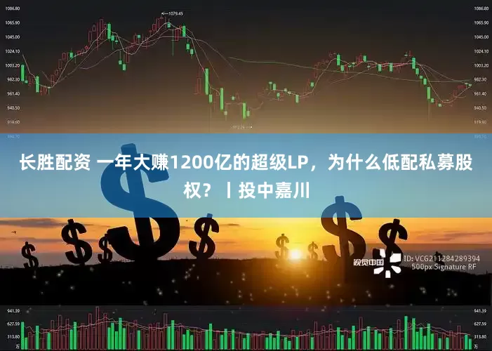 长胜配资 一年大赚1200亿的超级LP，为什么低配私募股权？丨投中嘉川